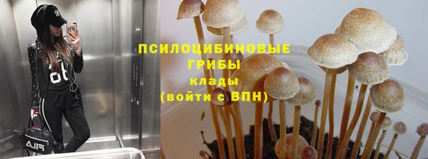 кокс Дмитриев