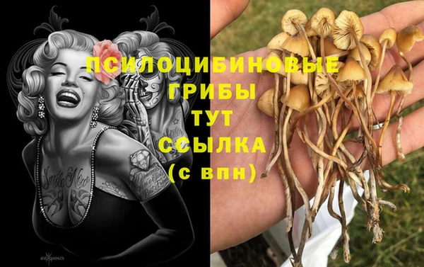кокс Дмитриев