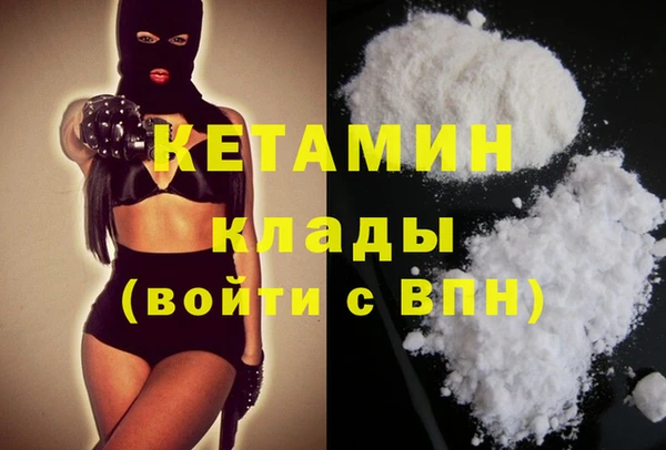 кокс Дмитриев
