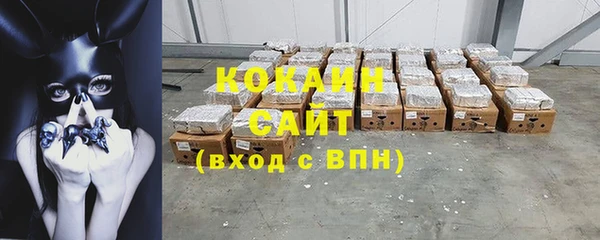 кокс Дмитриев