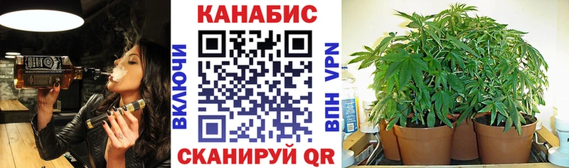 Бошки Шишки ГИДРОПОН  Купить  Козельск 